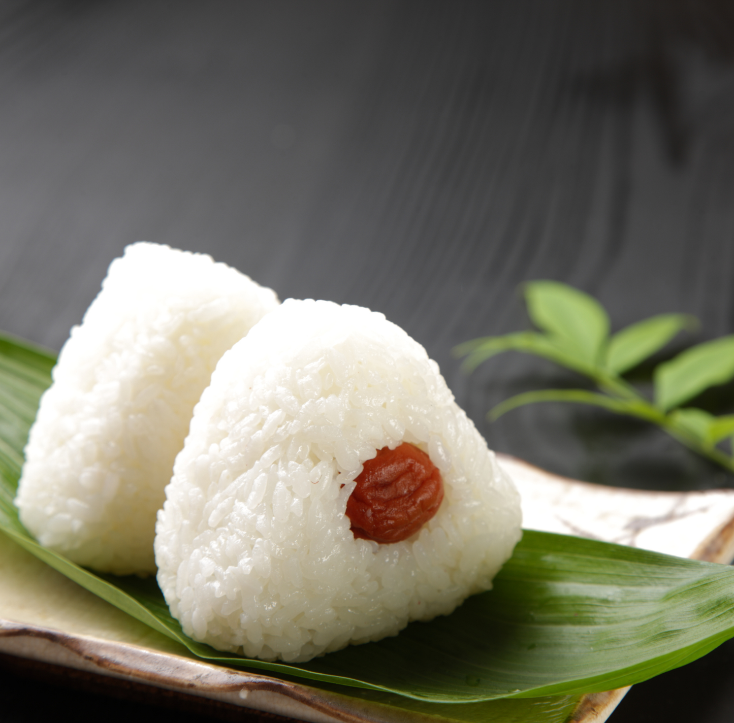 2025年新米土佐清水産 コシヒカリ