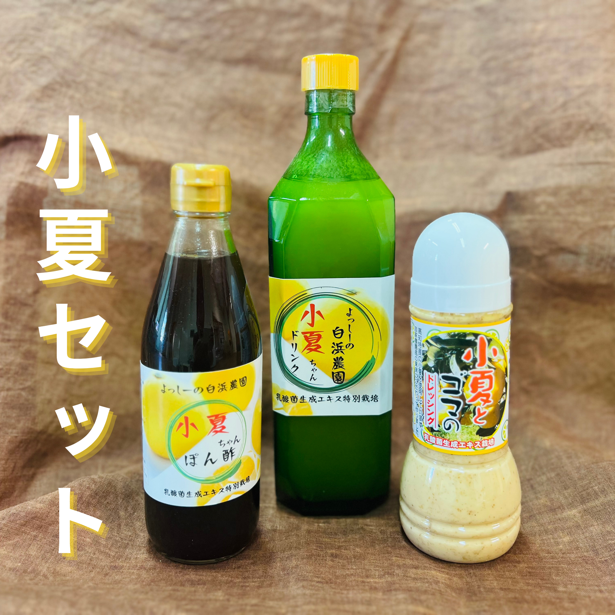 美品 浜学園 小3 国語 フルセット Amazon.co.jp: UA04-079 浜学園 美品 浜学園 小3 国語 フルセット Amazon.co.jp: UA04-079 浜学園