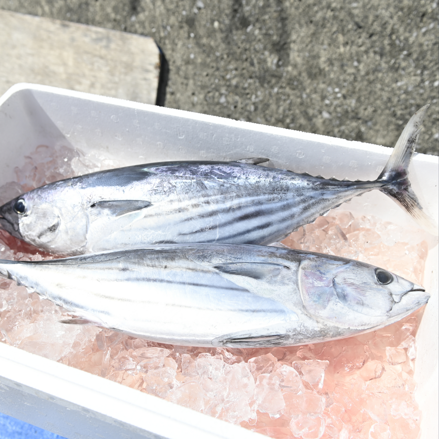 藁焼たたき食べ比べセット(冷凍)