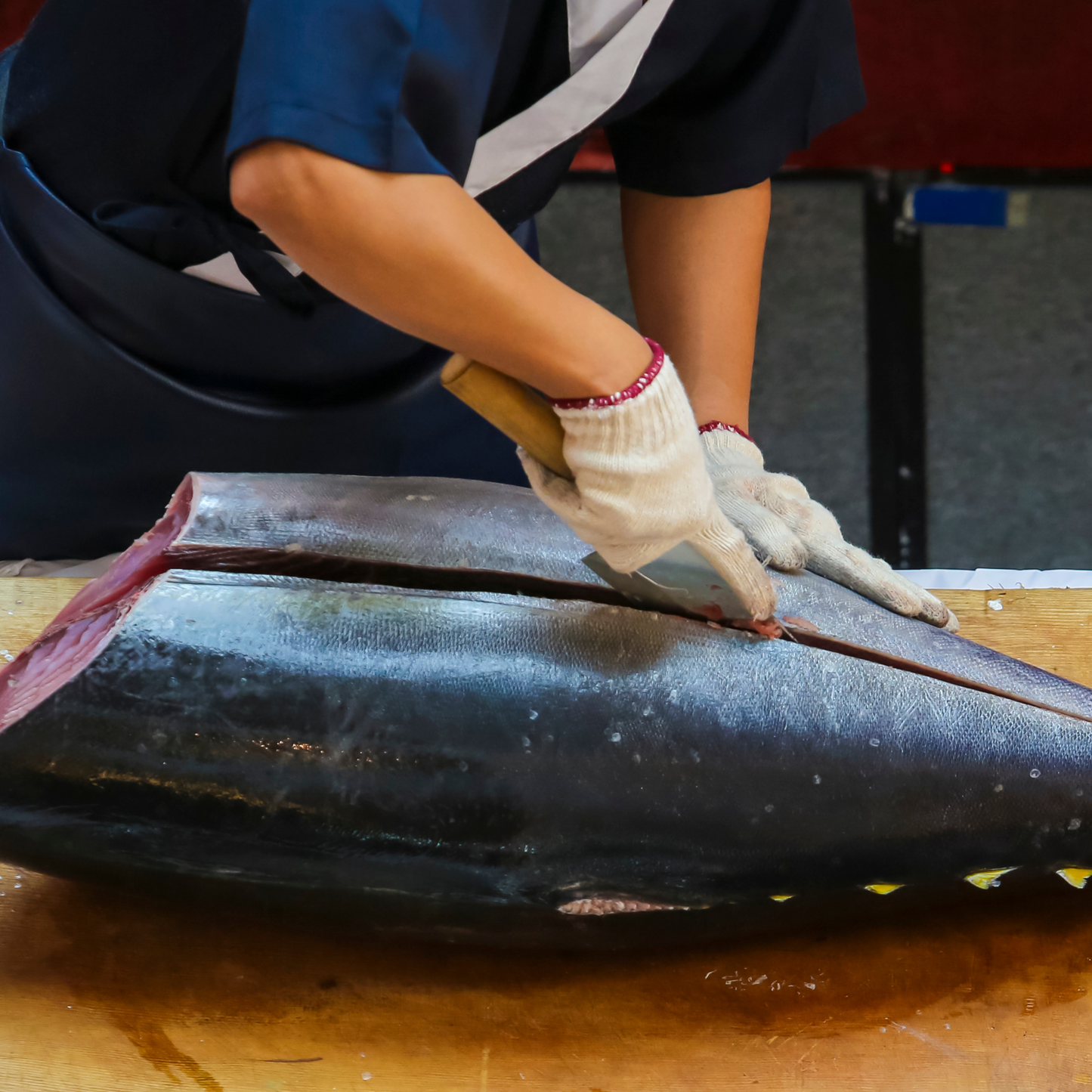 高知県大月町産本マグロ大トロ