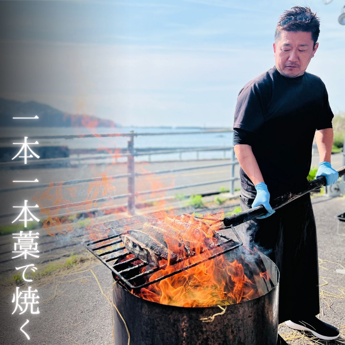 藁焼き鰹たたき丼 新米セット