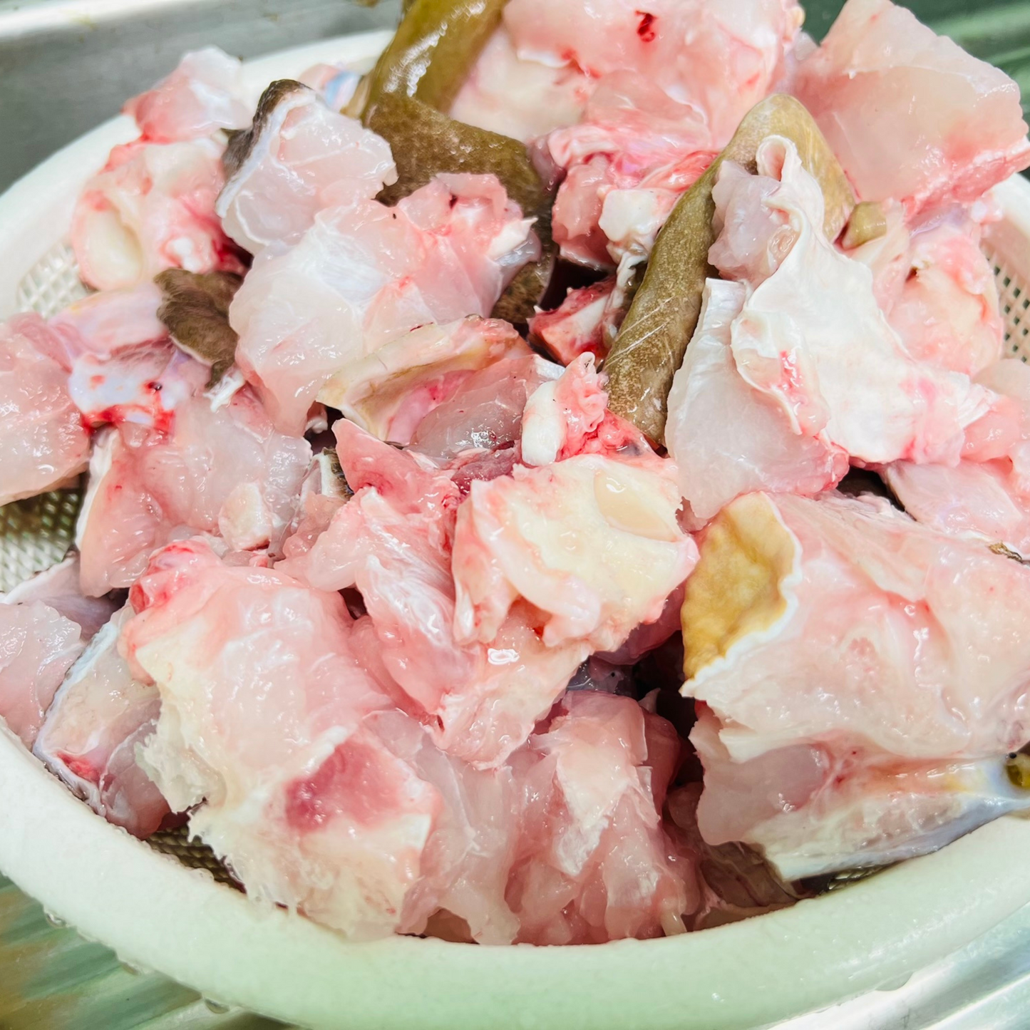 足摺岬沖獲れ!天然本クエ(鍋用)500g