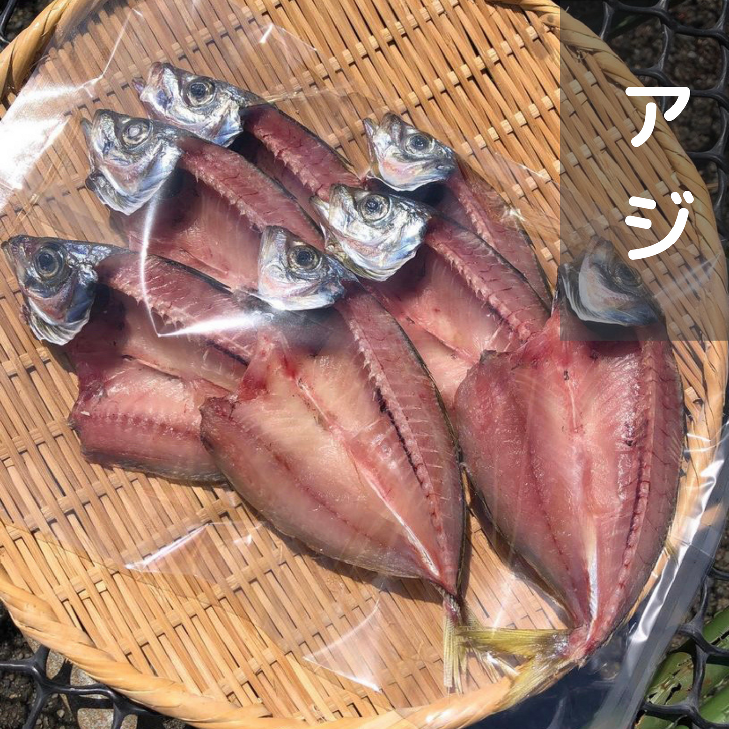 特選!土佐清水産干物セット