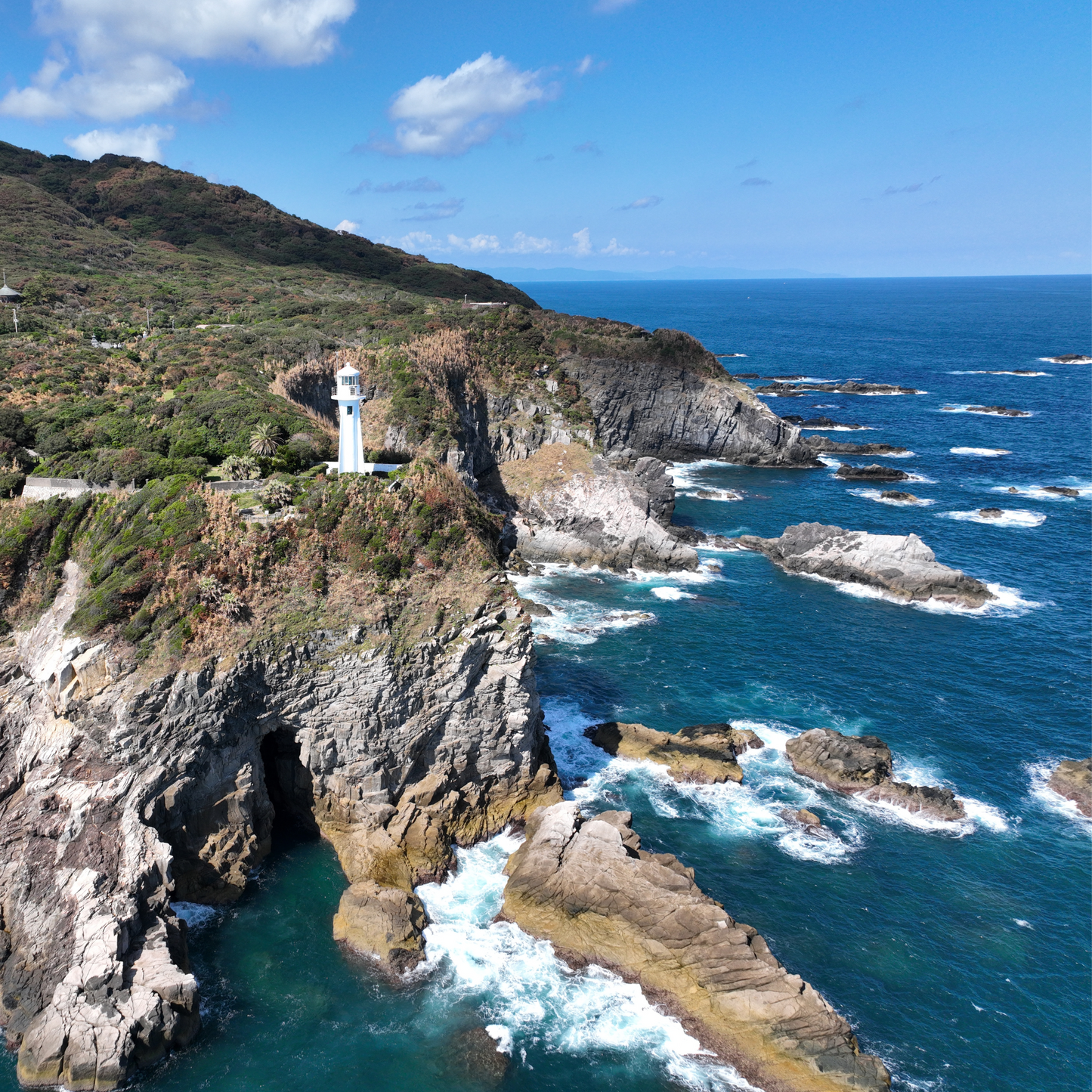 足摺岬沖獲れ!天然本クエ(鍋用)500g