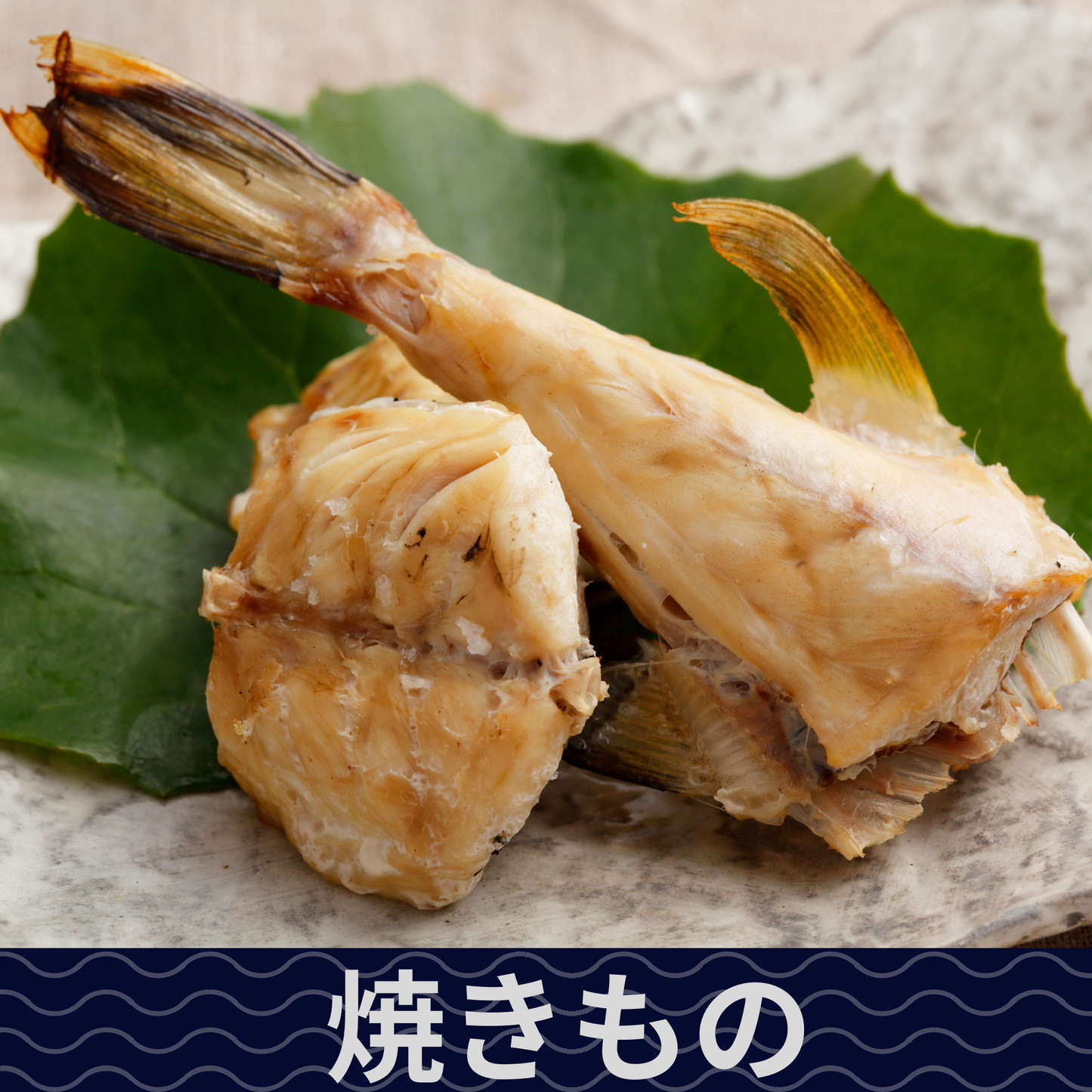 高知県産サバフグ