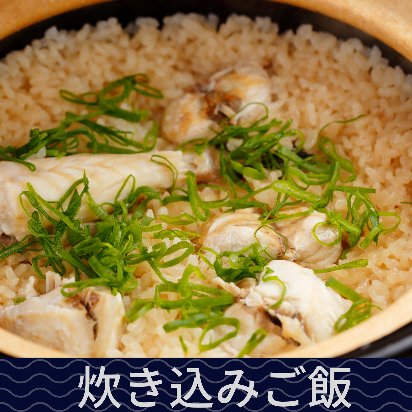 高知県産サバフグ
