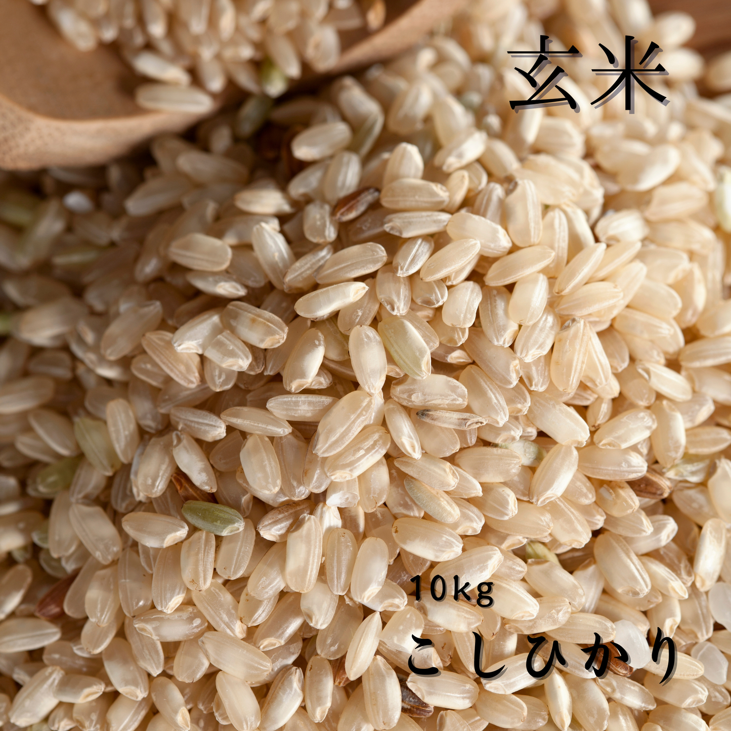 2025年新米土佐清水産 コシヒカリ