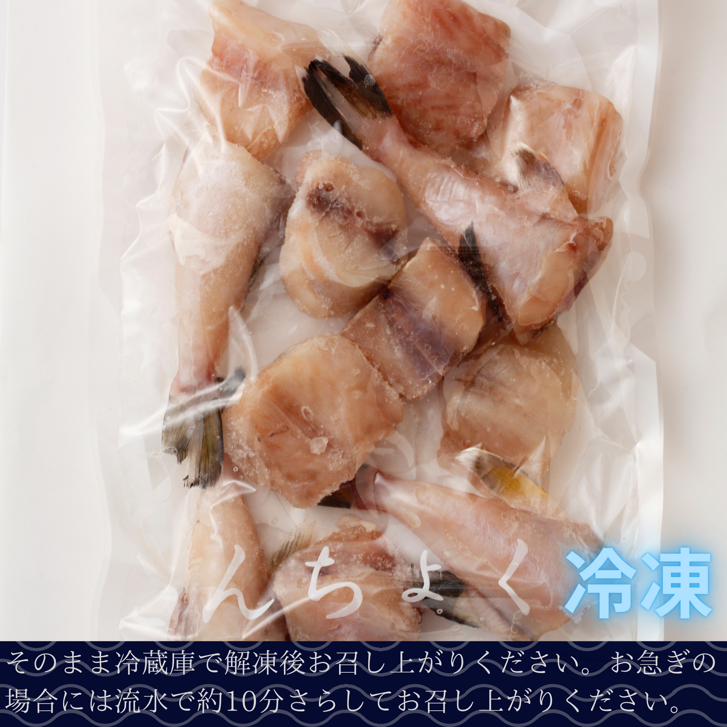 高知県産サバフグ