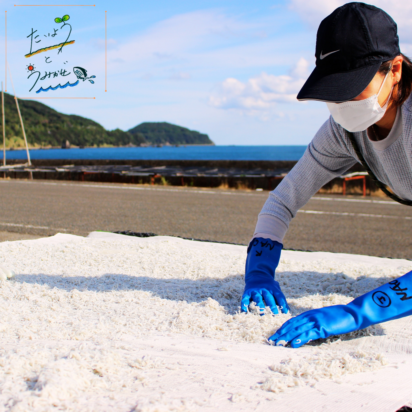 特選!土佐清水産干物セット