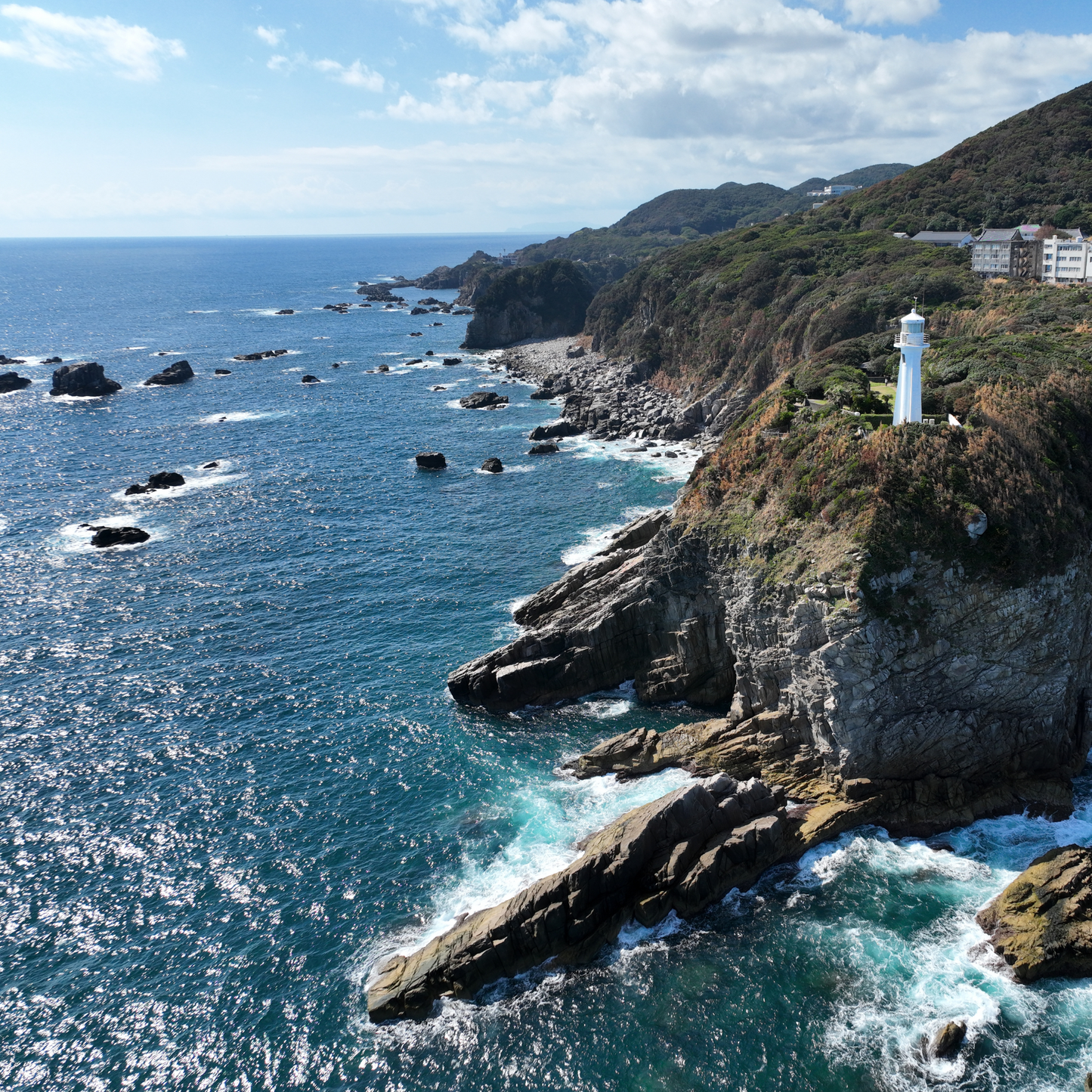 天然ブリの藁焼きたたき