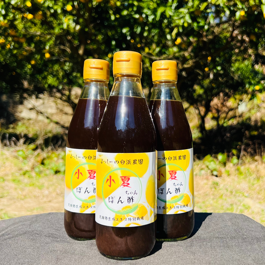 小夏ポン酢