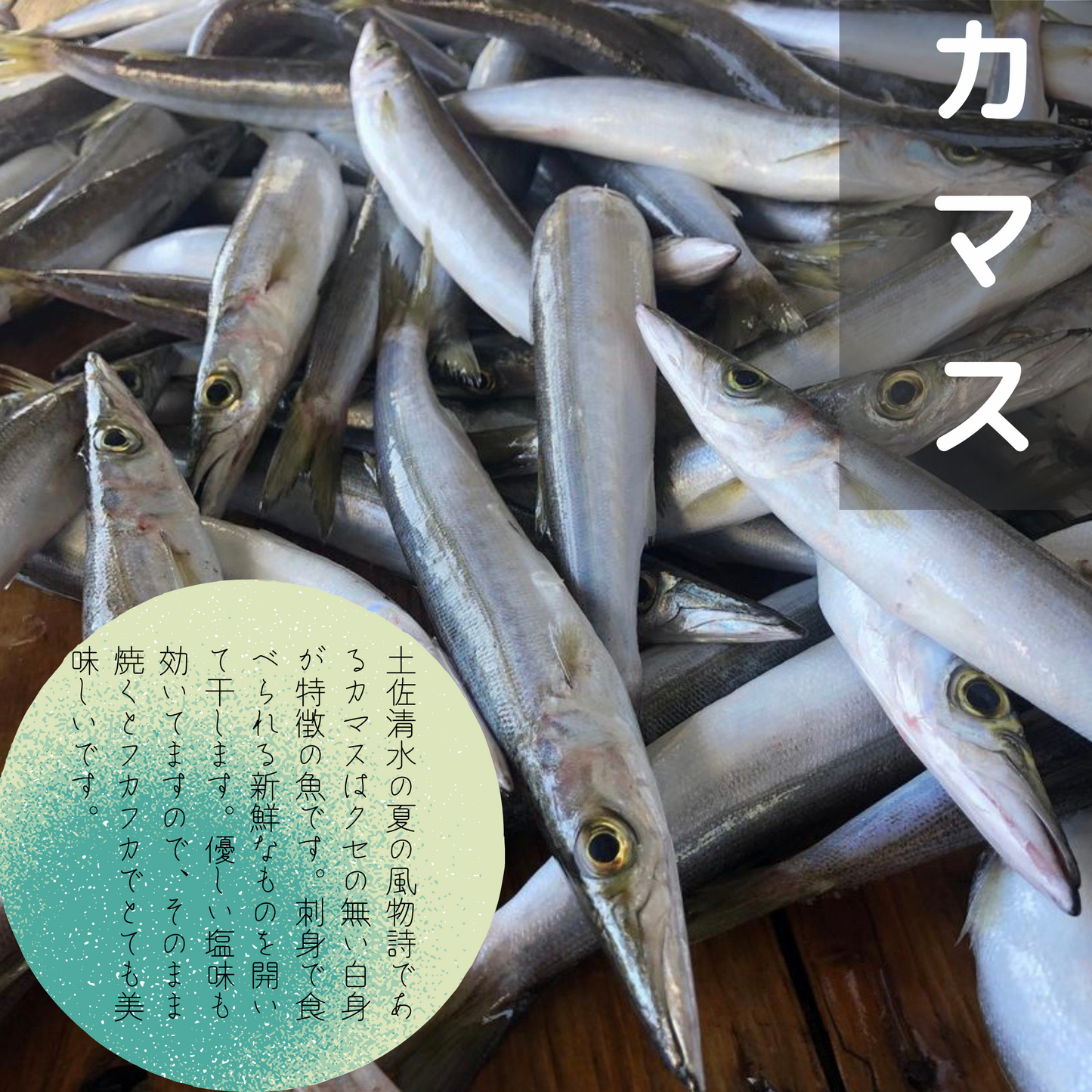 特選!土佐清水産干物セット