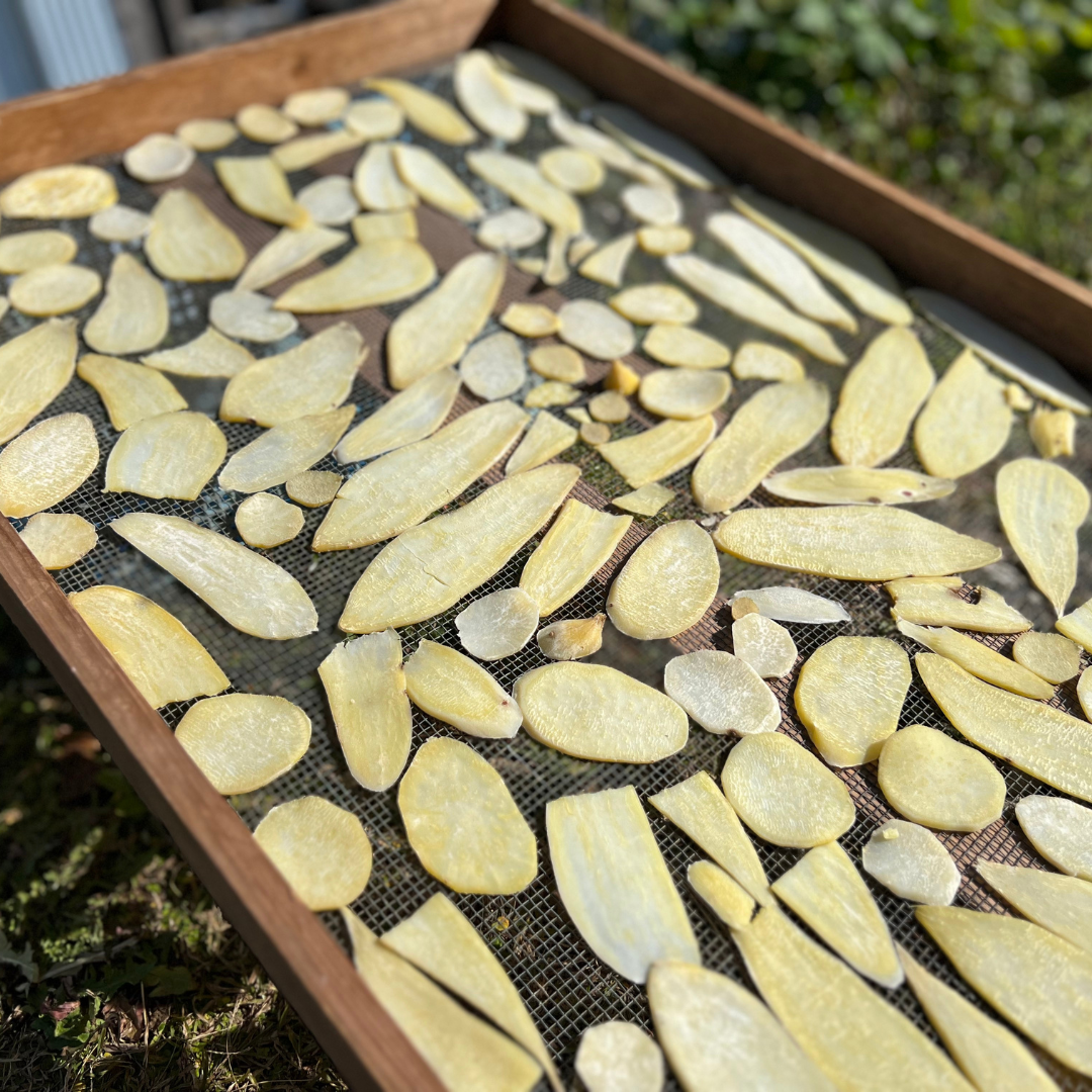 小柴製餅所 いももち