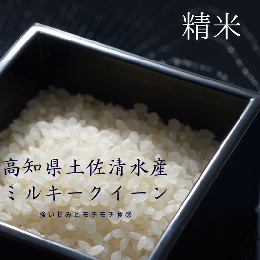 2025年新米土佐清水産 ミルキークイーン