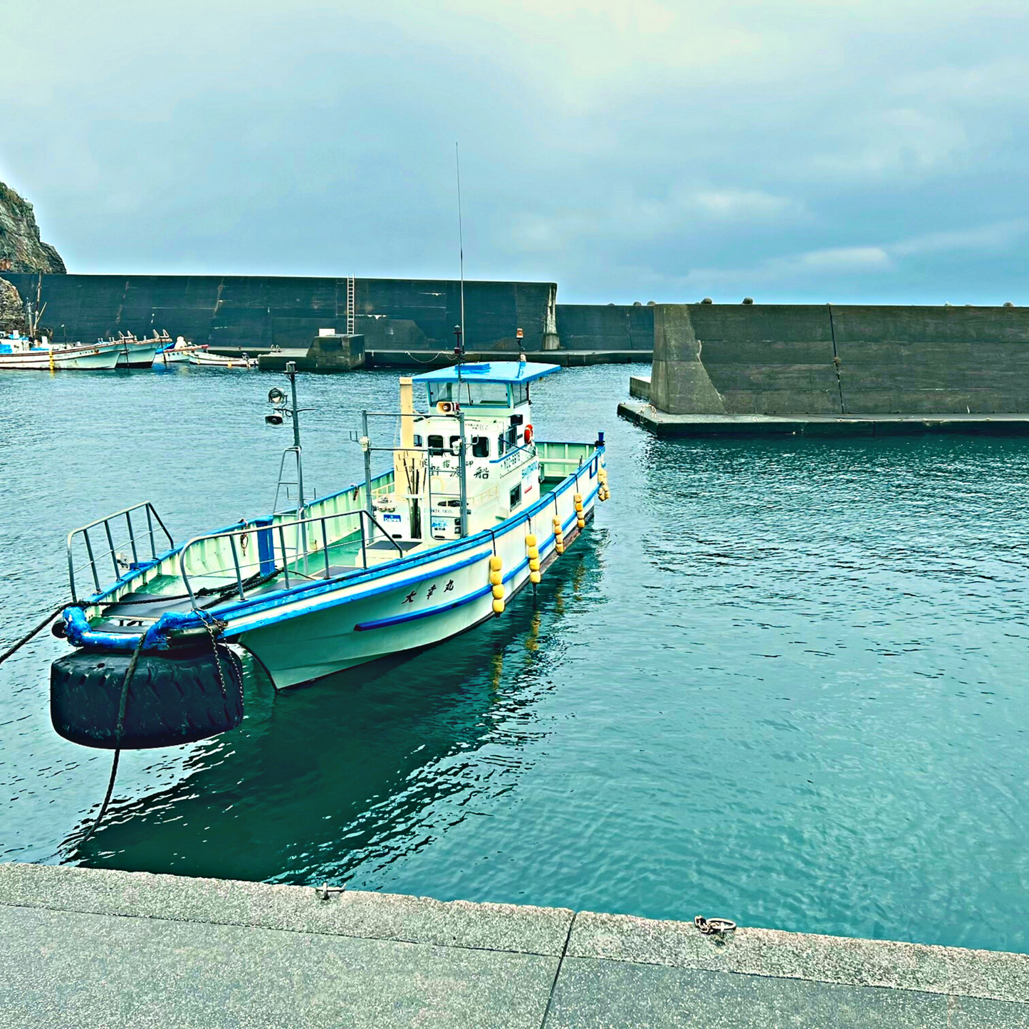 足摺岬沖獲れ!天然本クエ(鍋用)500g