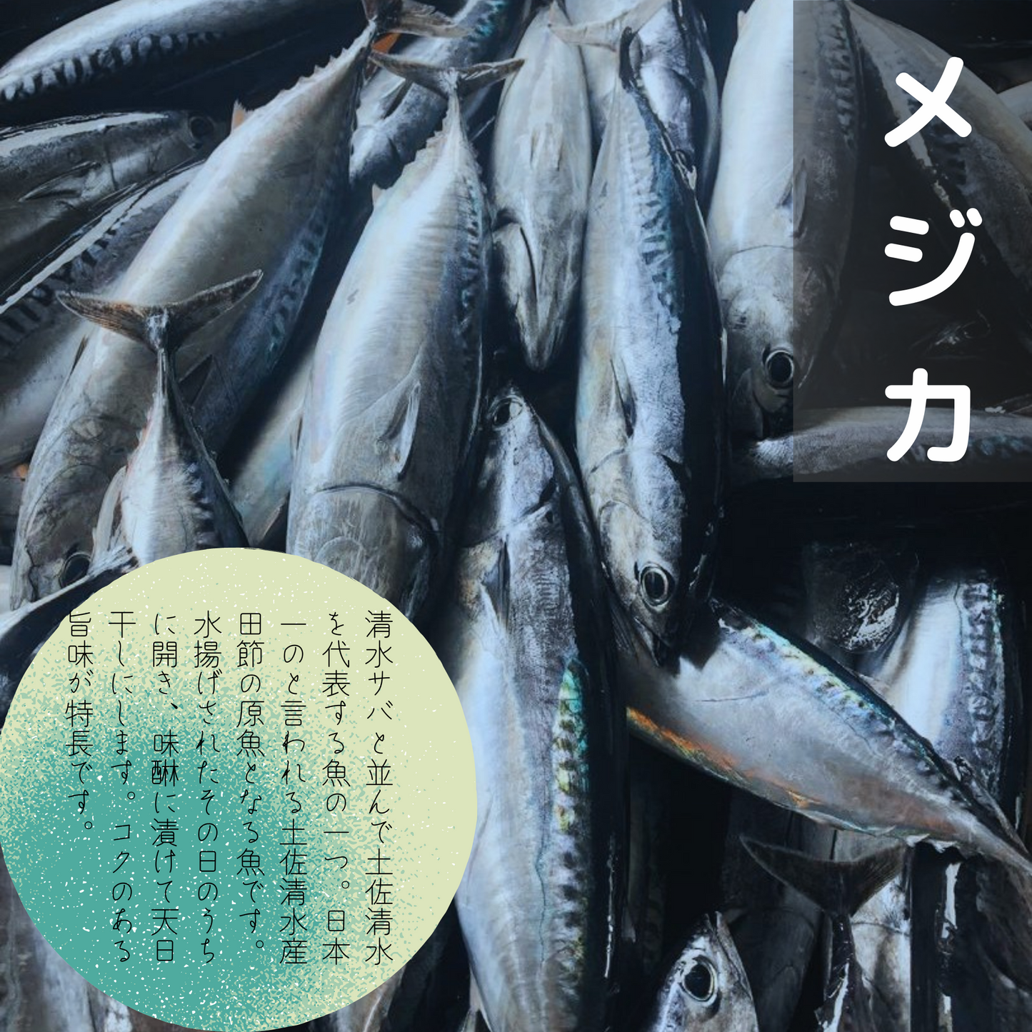 特選!土佐清水産干物セット