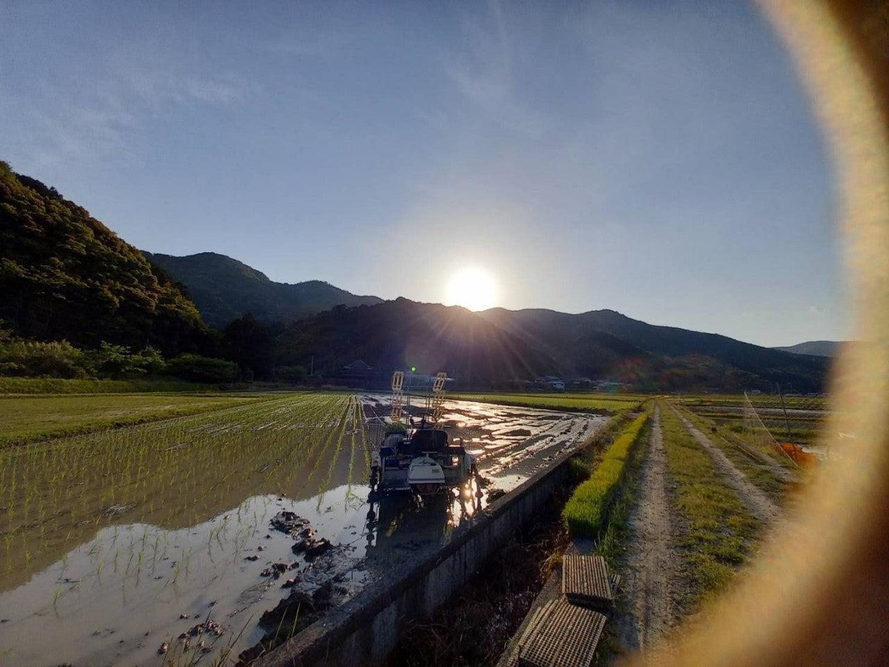 2025年新米土佐清水産 ミルキークイーン