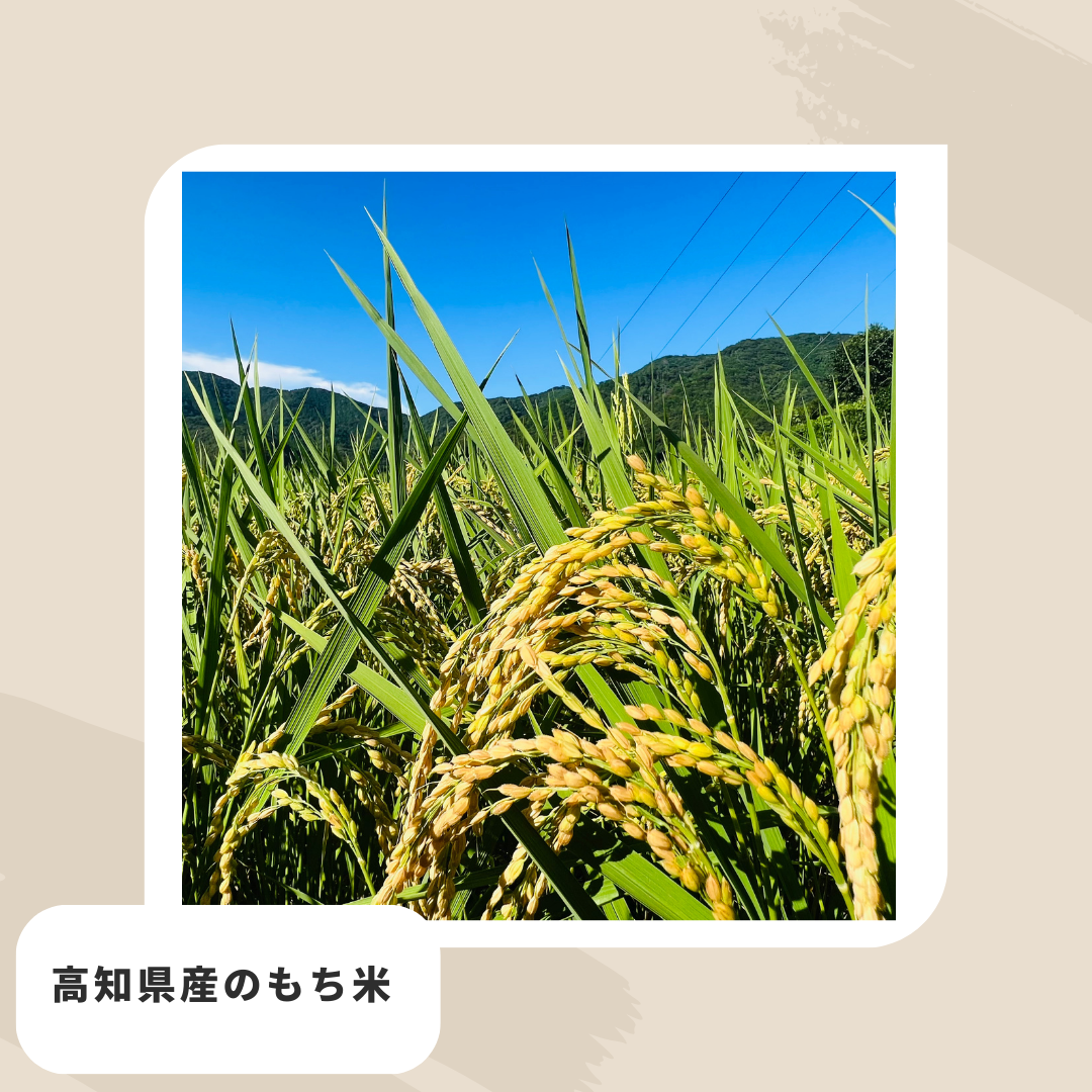 佐野屋の芋もち