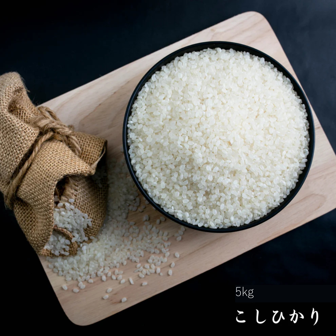 2025年新米土佐清水産　コシヒカリ