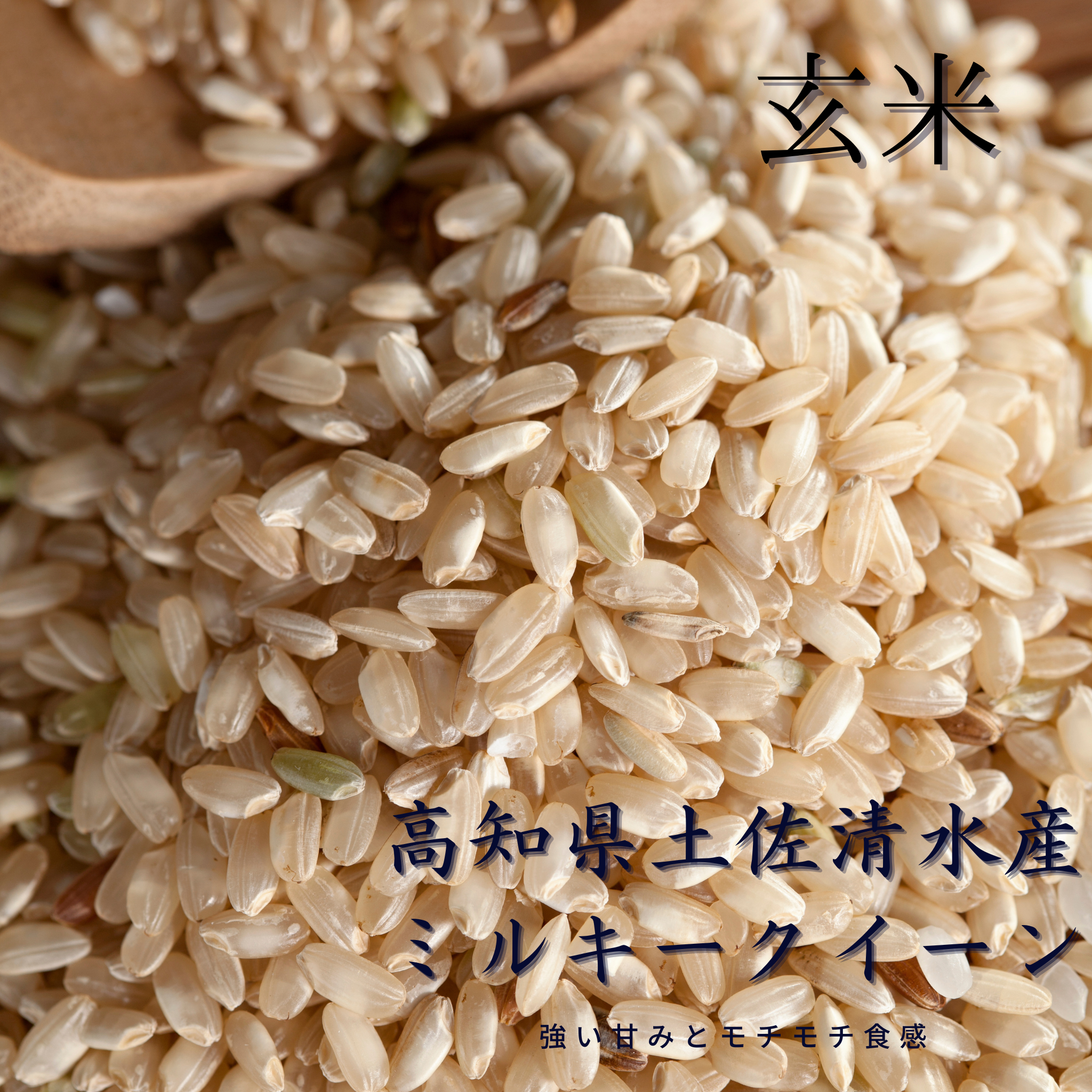 ミルキークイーン　SALE　米/穀物